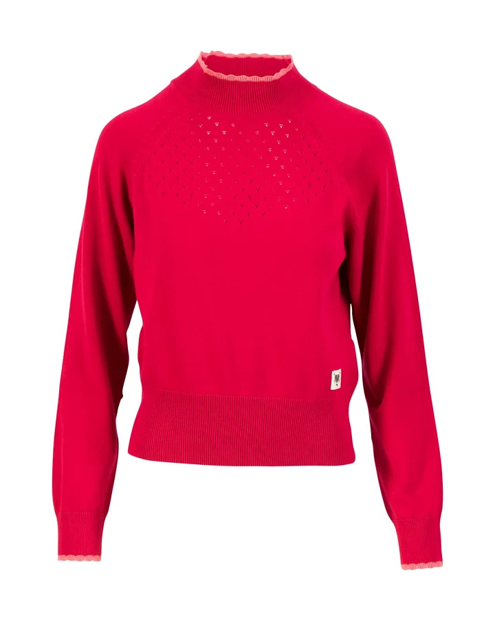 Strickpullover Delicious Minds