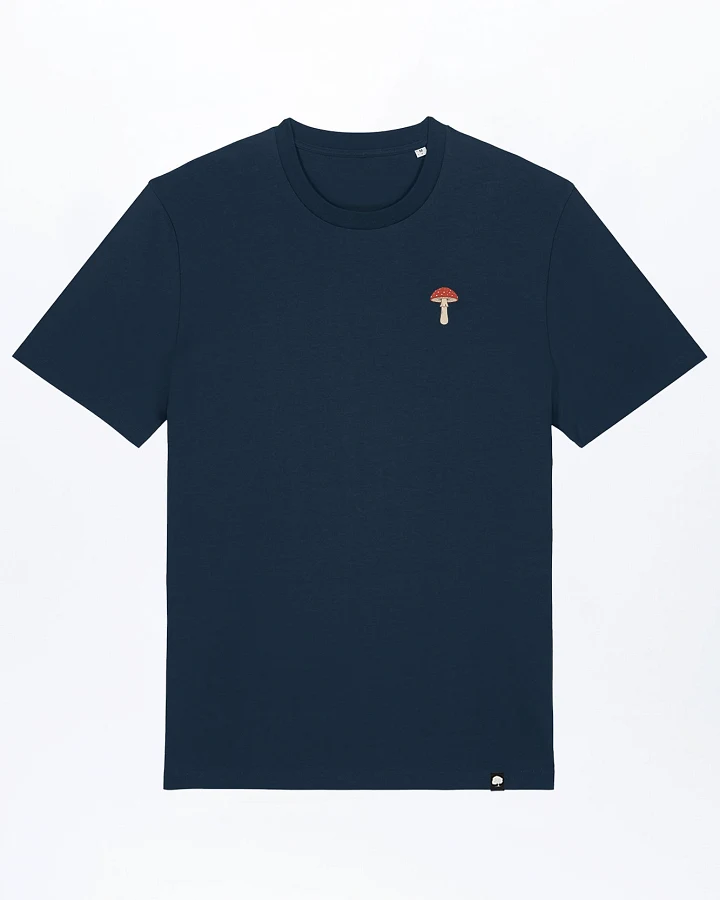 French Navy