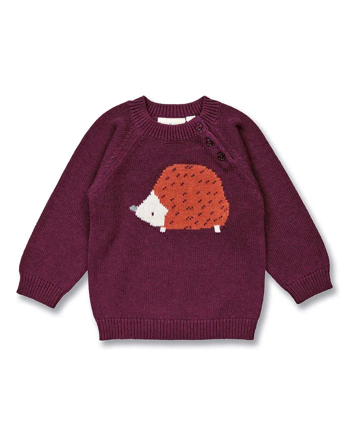Baby Strickpullover mit Igel auf Bordeauxrot, Modell NAVIN