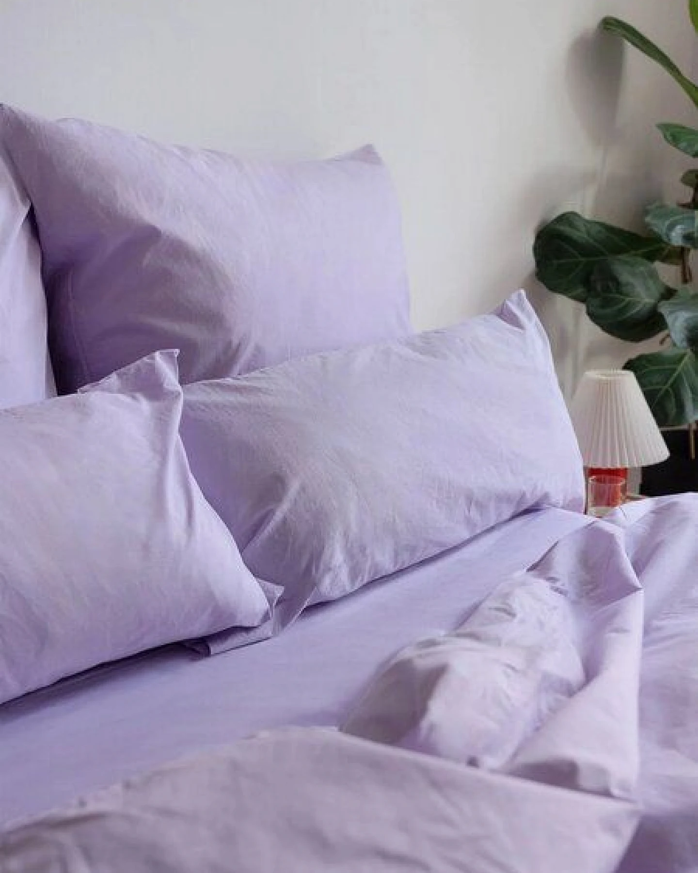 erlich textil Cotton Select Spannbettlaken aus Baumwolle (aus Umstellung auf biologischen Anbau), made in Europe – Ansicht 3