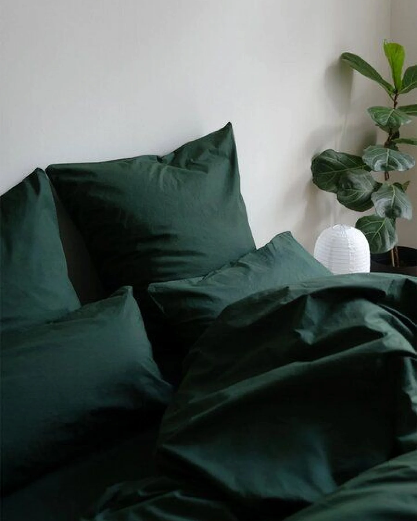erlich textil Cotton Select Spannbettlaken aus Baumwolle (aus Umstellung auf biologischen Anbau), made in Europe – Ansicht 4