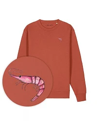 Terracotta
