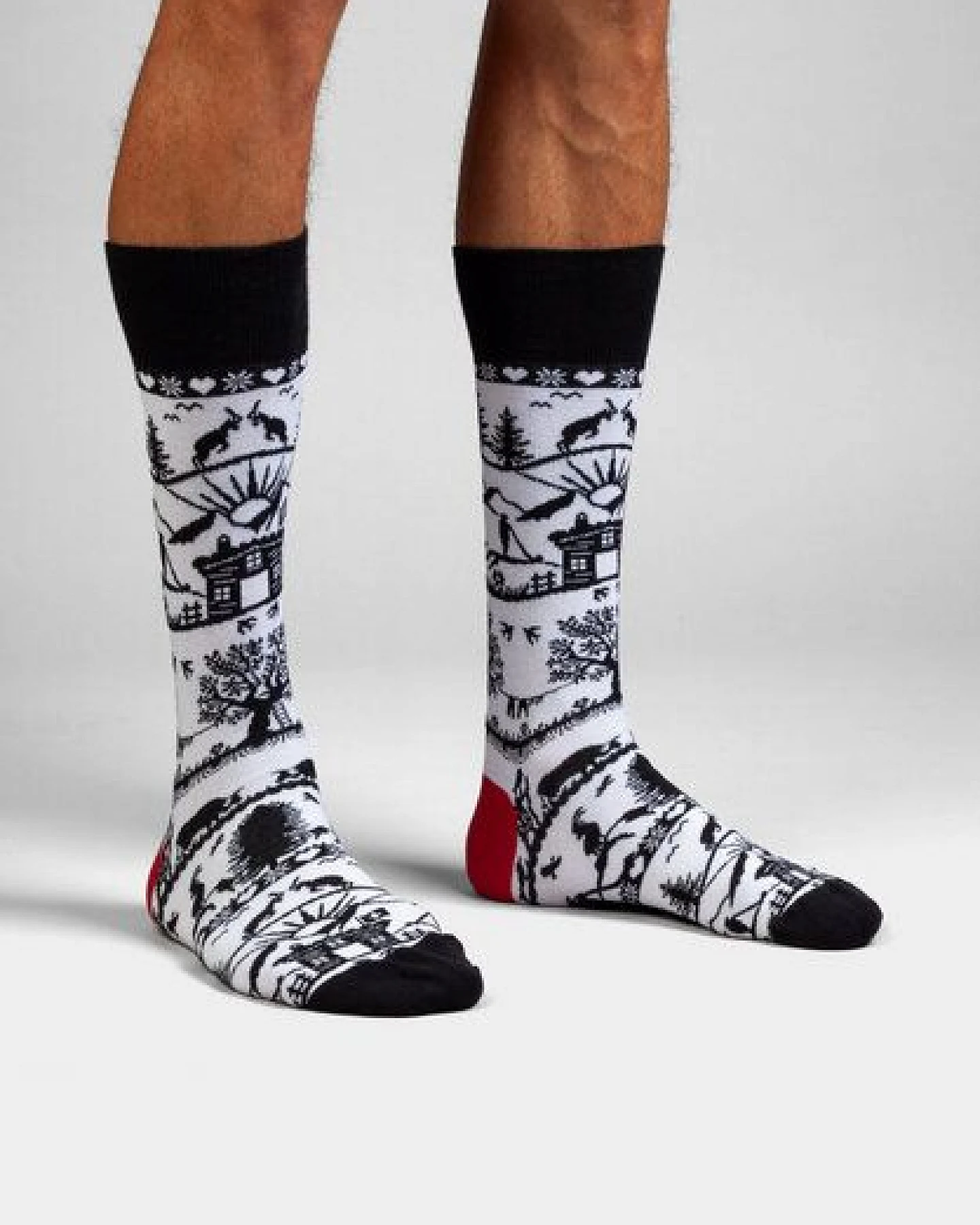 DillySocks Socken „Swiss Outline“ – Ansicht 2