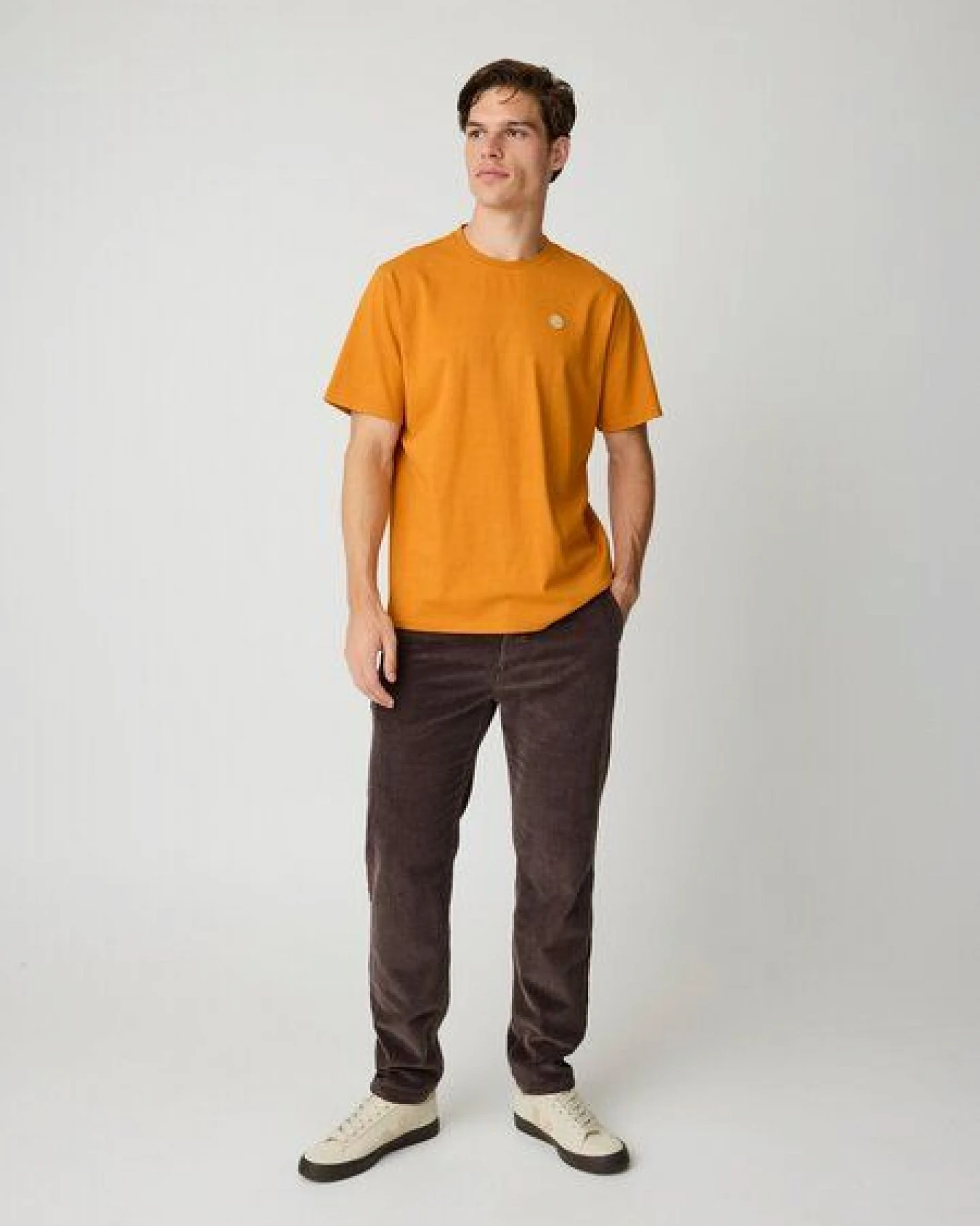 KnowledgeCotton Apparel Cordhose CHUCK - Regular Fit - aus Bio-Baumwolle – Ansicht 4