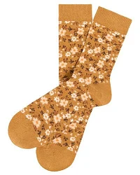 Bloom Camel