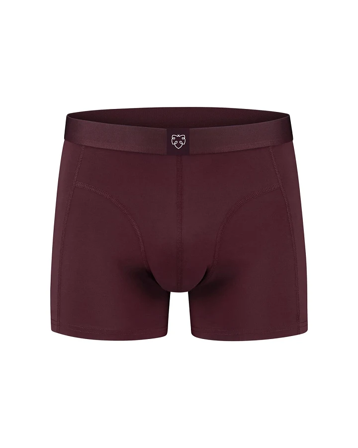 Boxer Brief Bruno Rot