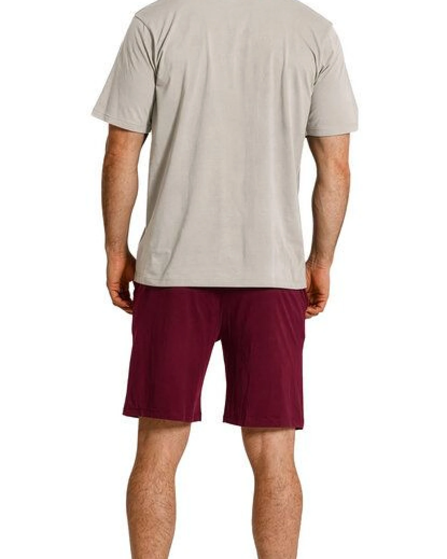 Haasis Bodywear Herren Shorty V-Ausschnitt, Bio Baumwolle, GOTS zertifiziert – Ansicht 3