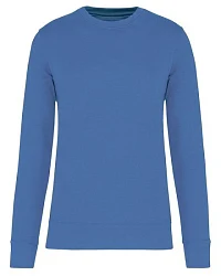 Light Royal Blue