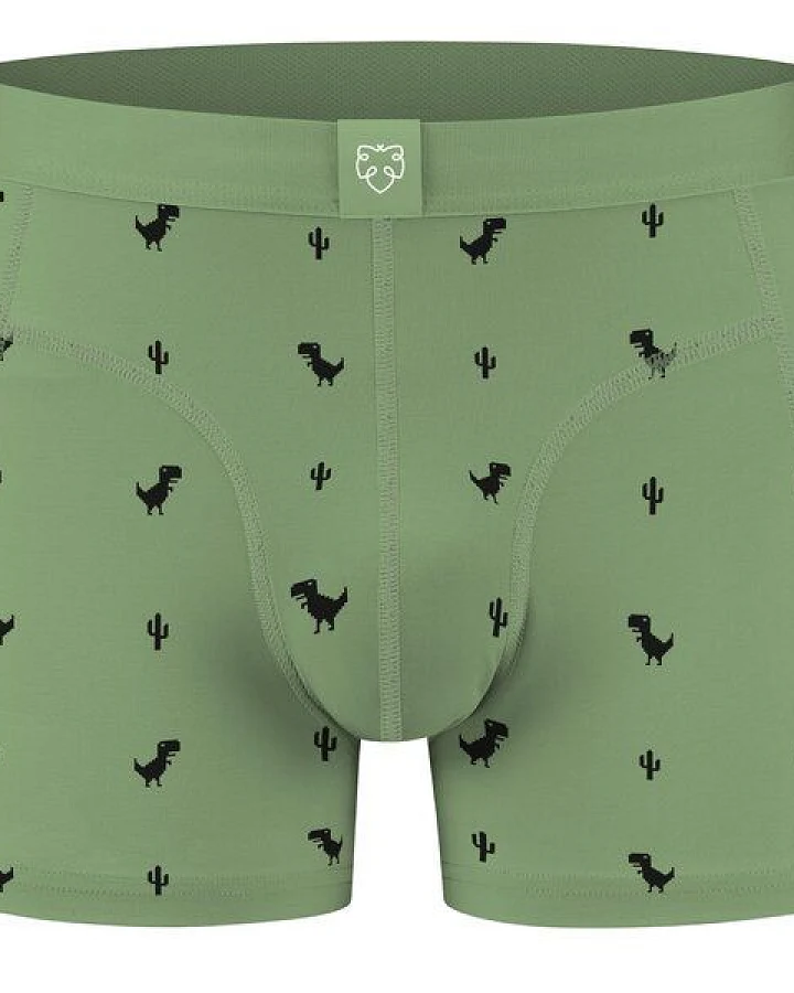 A-Dam Boxer Briefs 8Bit Dino