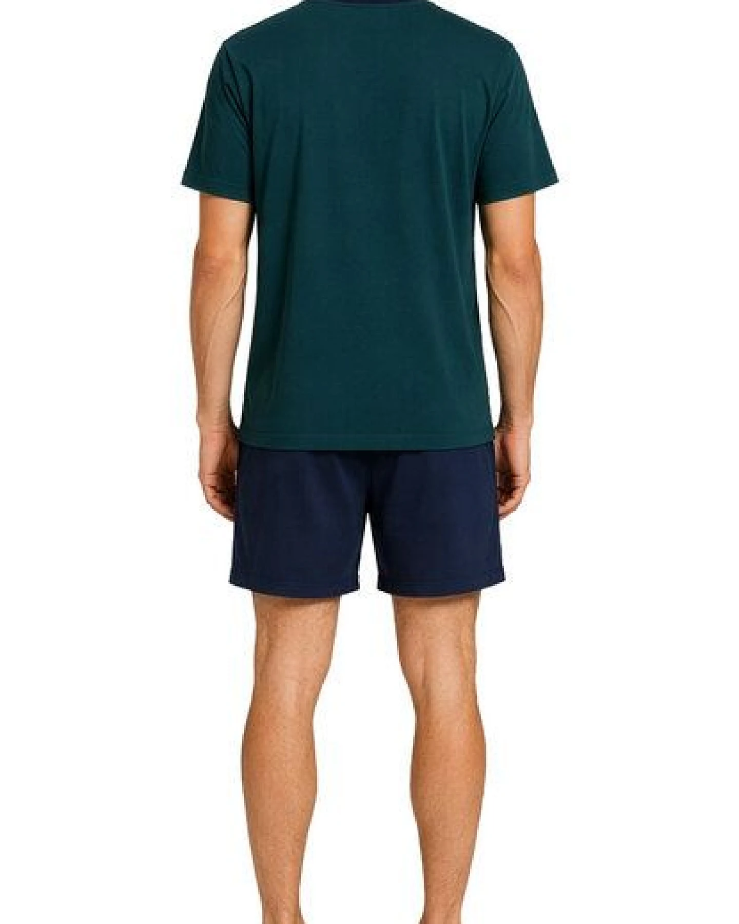 Haasis Bodywear Herren Shorty Rundhals, Bio Baumwolle, GOTS zertifiziert – Ansicht 4