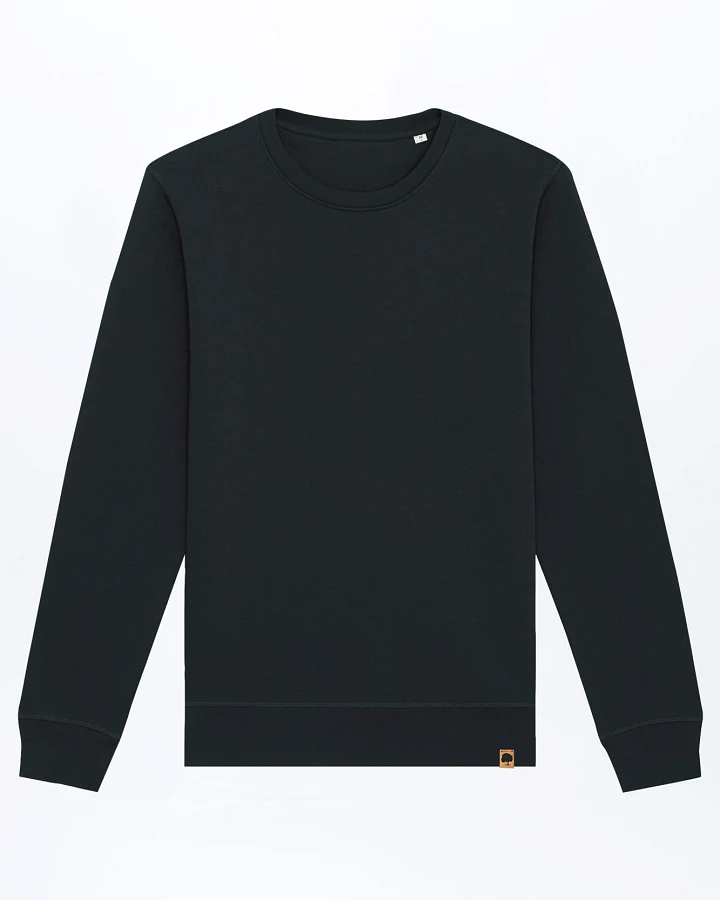 Leichter Sweater aus Bio Baumwolle