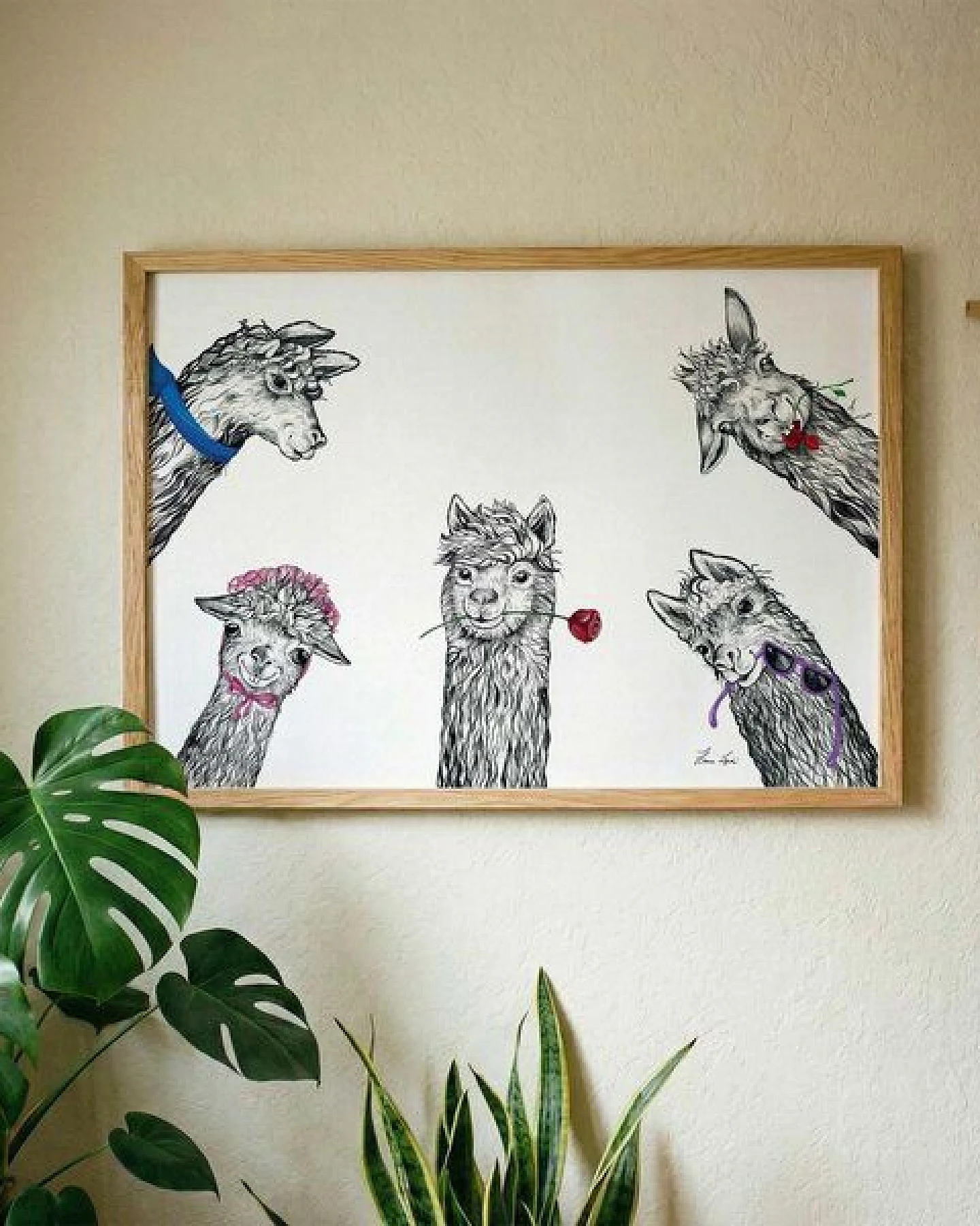 Kunstdruck »Lama Club« von LIGARTI – Ansicht 2