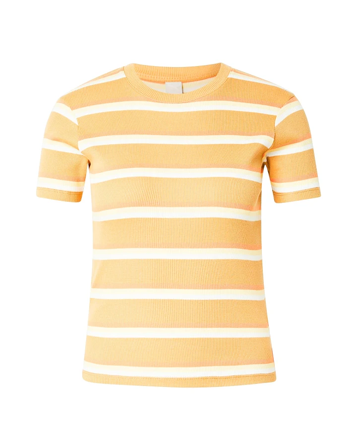 Iriedaily T-Shirt Hedy