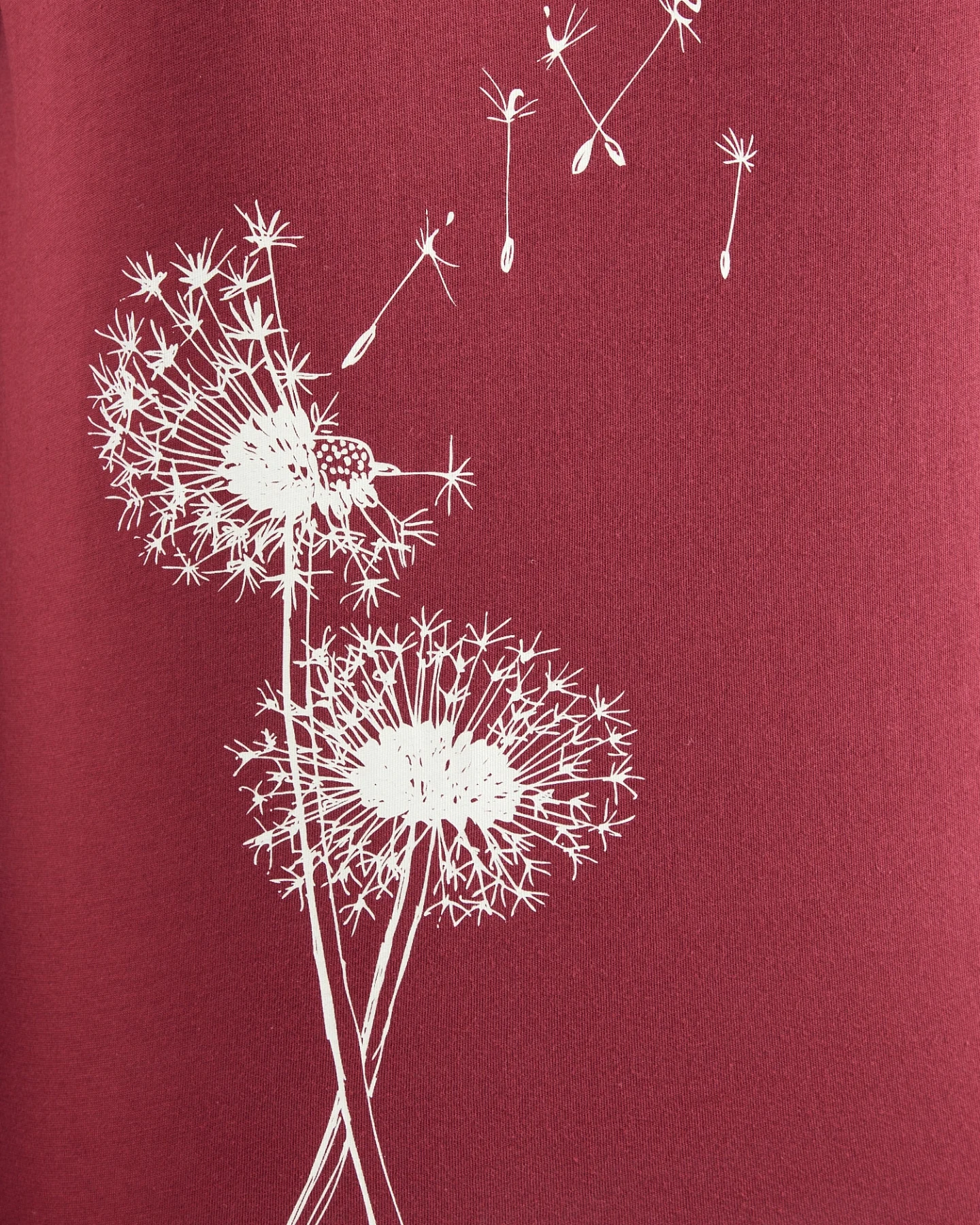 Iriedaily T-Shirt Pusteblume – Ansicht 5