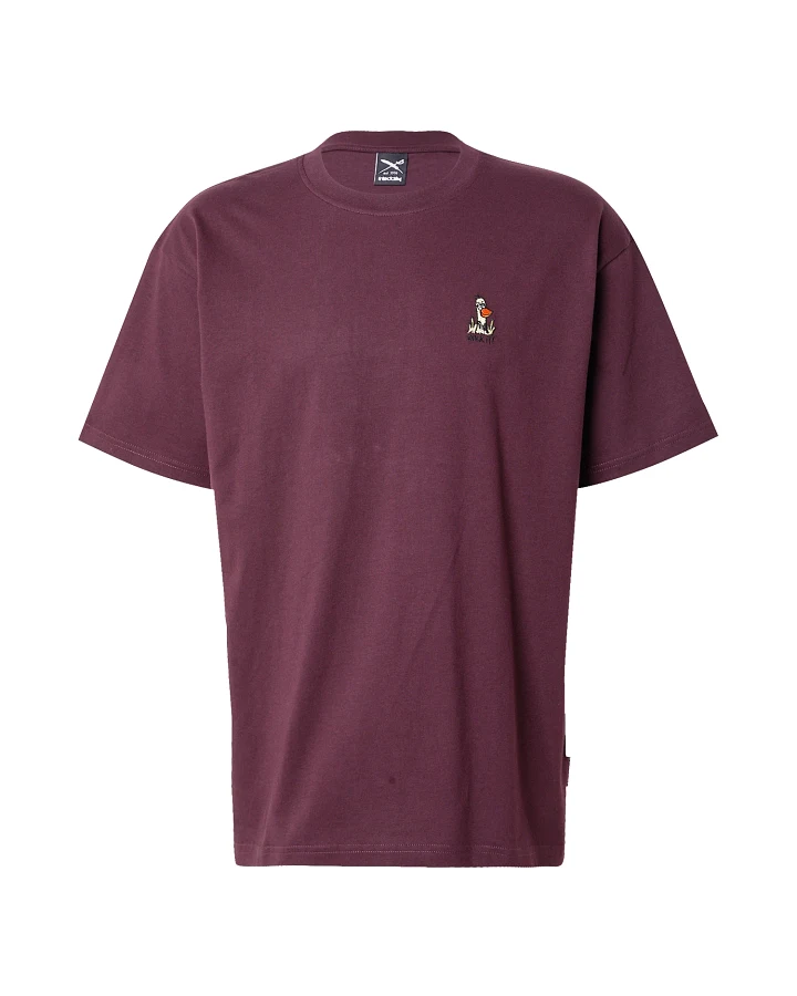 Iriedaily T-Shirt What The Duck