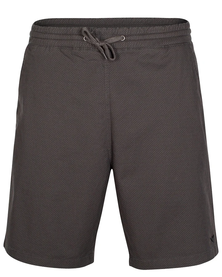 Iriedaily Shorts Loven Relax