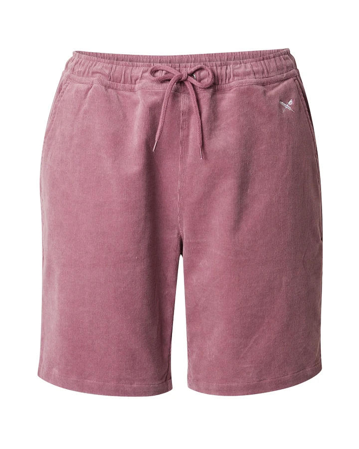 Iriedaily Shorts Corvin