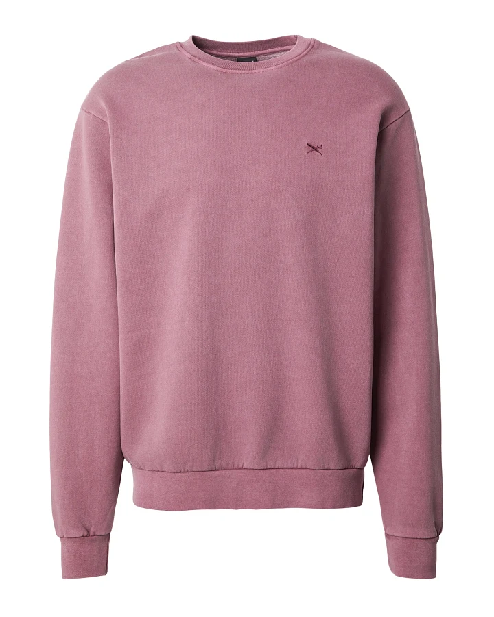 Iriedaily Sweatshirt