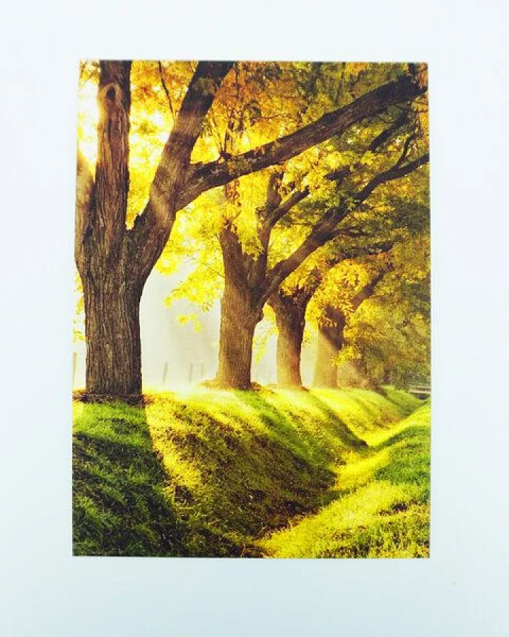 Burst Design Postkarten/ Geschenkkarten/ Fotokarten (gedruckt auf Naturpapier)