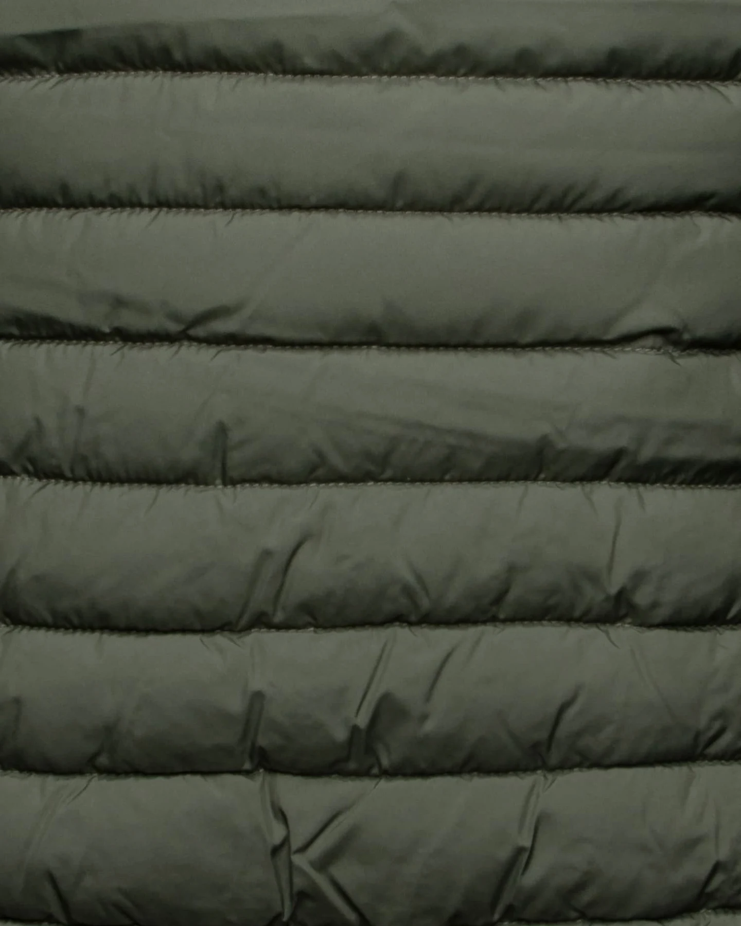 SAVE THE DUCK Steppjacke Cole – Ansicht 4