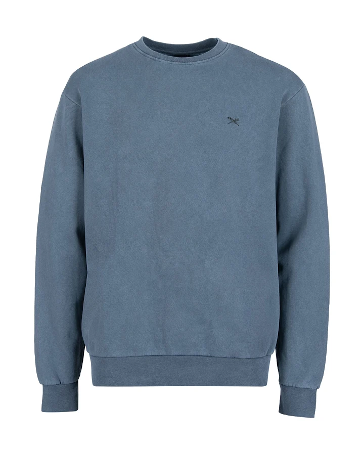 Iriedaily Sweatshirt