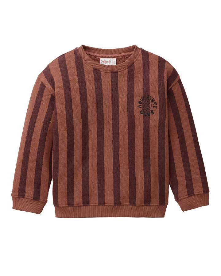 People Wear Organic - Sweat-Pullover mit Blockstreifen mahagoni