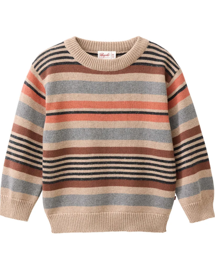 People Wear Organic - Feinstrick-Pullover bunt geringelt