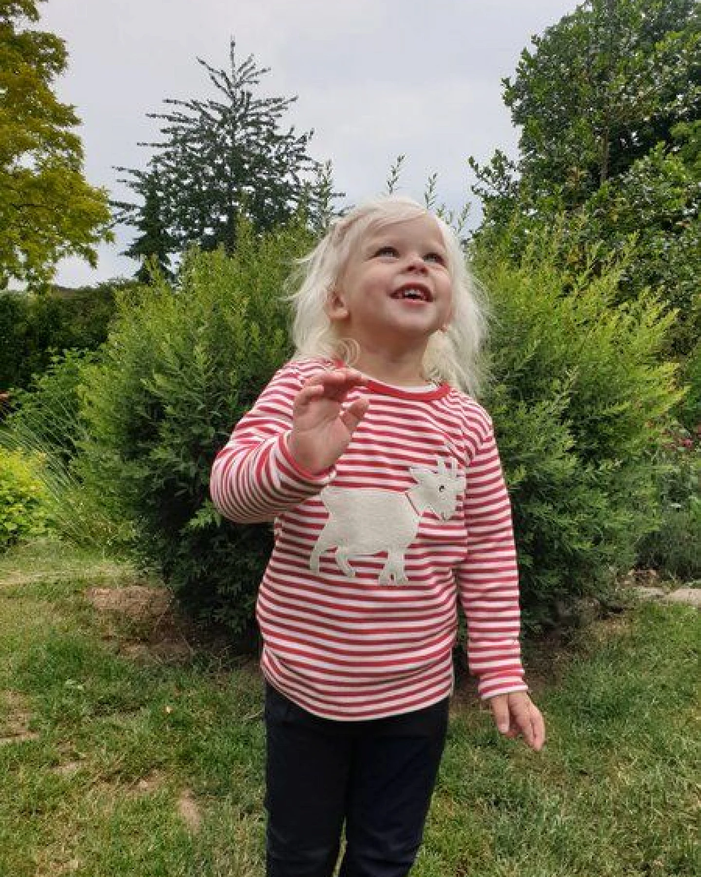 Pat und Patty Bio Kinder-Langarmshirt „Ziege“, rot/weiß gestreift – Bio-Baumwolle (kbA) – Ansicht 3