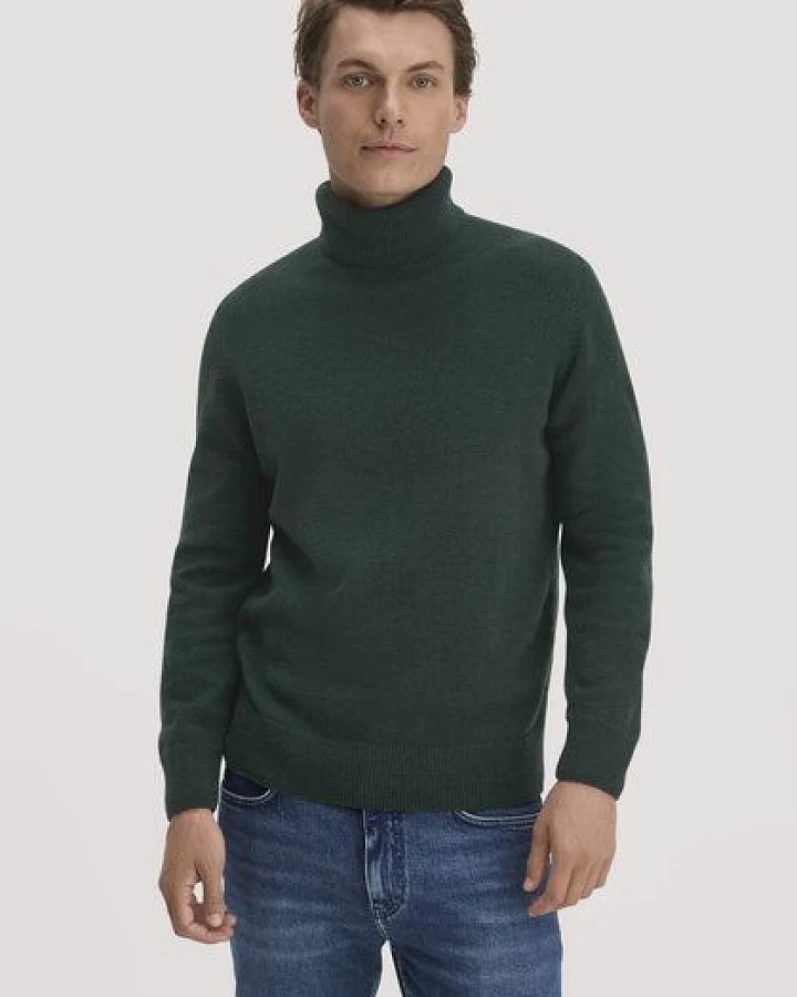 Produktseite: hessnatur Rollkragen-Pullover Regular aus Bio-Merinowolle und Bio-Baumwolle