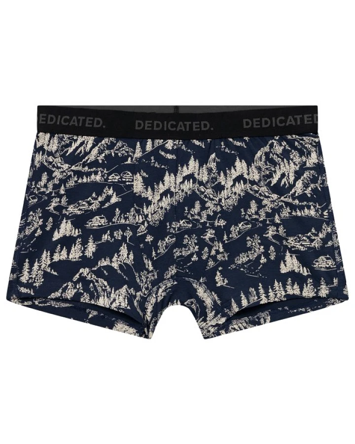 DEDICATED - Boxer Briefs Kalix Blue Hills - Alltagsunterwäsche Gr L grau/blau
