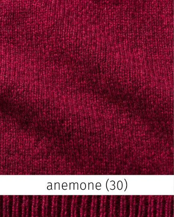Anemone