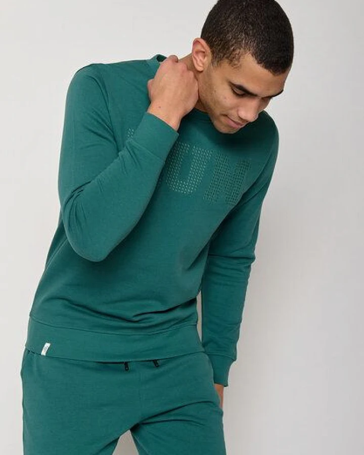 GREENBOMB Lifestyle Run Wild - Gemütliches Sweatshirt aus Bio-Baumwolle / hochwertiger Print / GOTS / Fair & Vegan