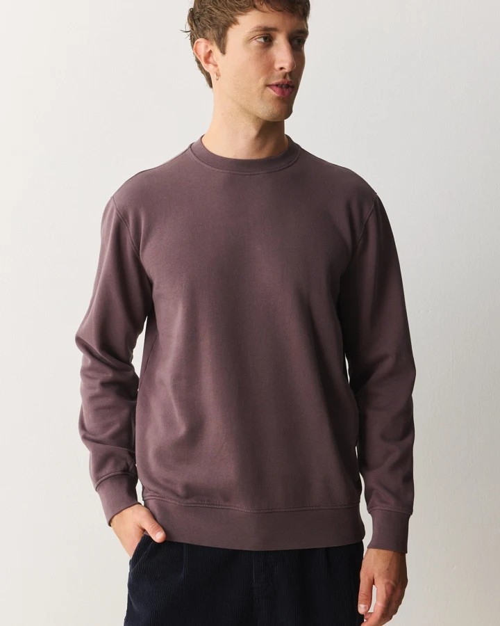 Recolution Herren vegan Sweatshirt Tamarillo Dunkle Traube