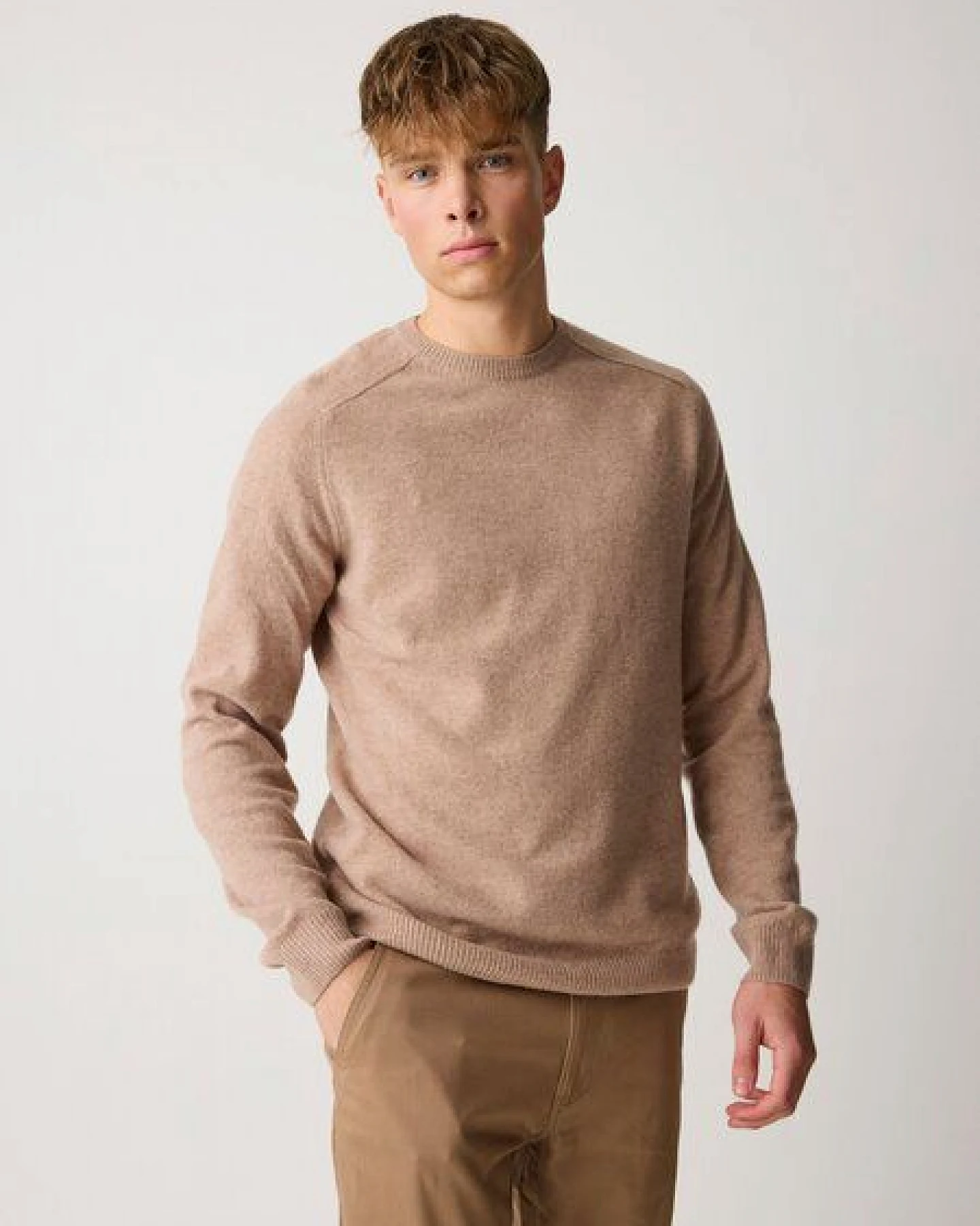KnowledgeCotton Apparel Strickpullover mit Rundhalsausschnitt aus Lammwolle – Ansicht 2