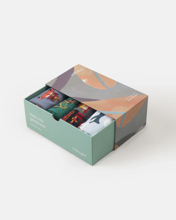 Sockenbox Modell: Christmas Transport
