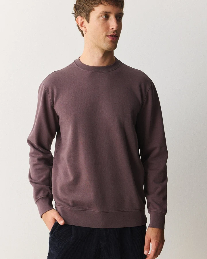 Sweatshirt Tamarillo