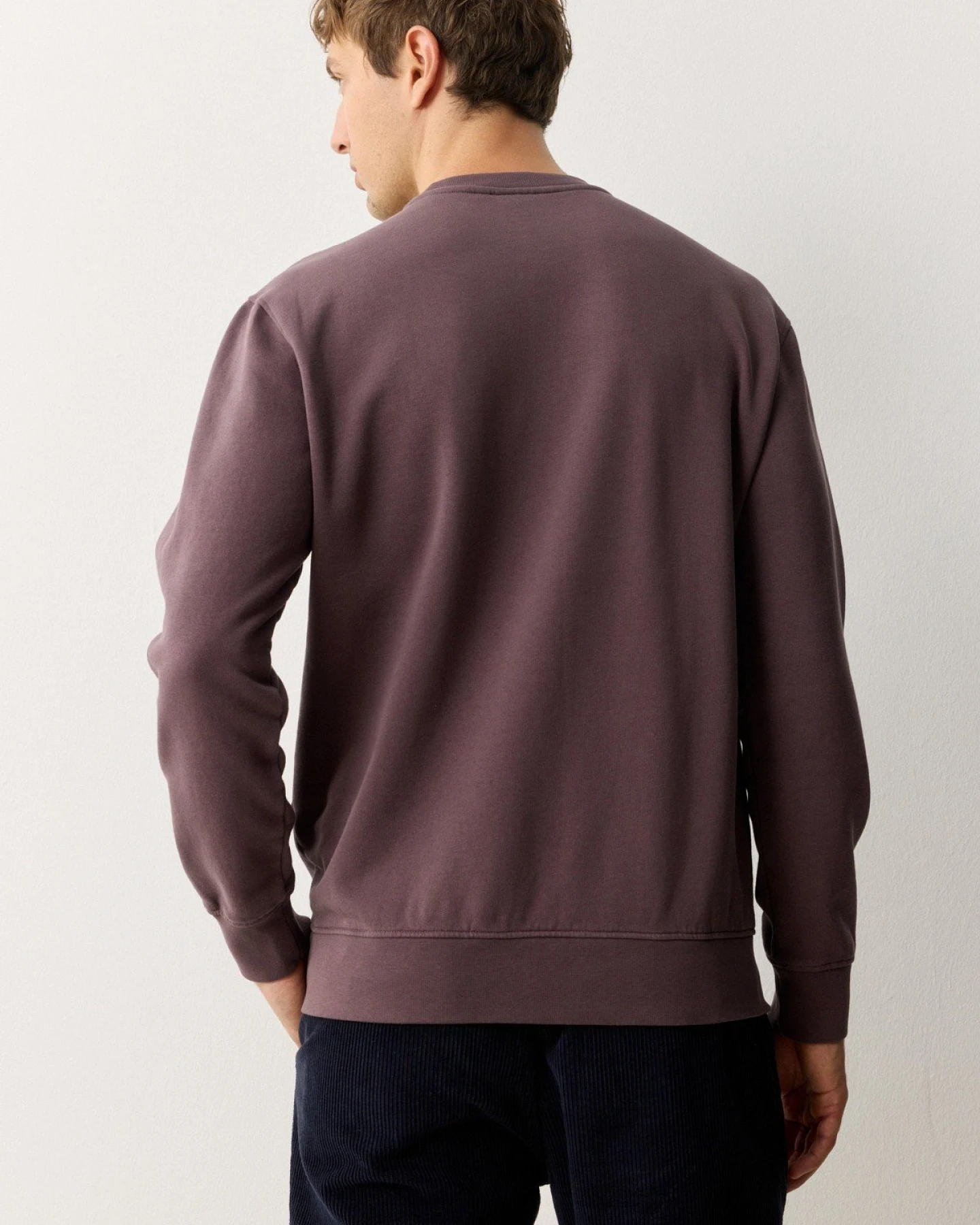 Sweatshirt Tamarillo – Ansicht 2