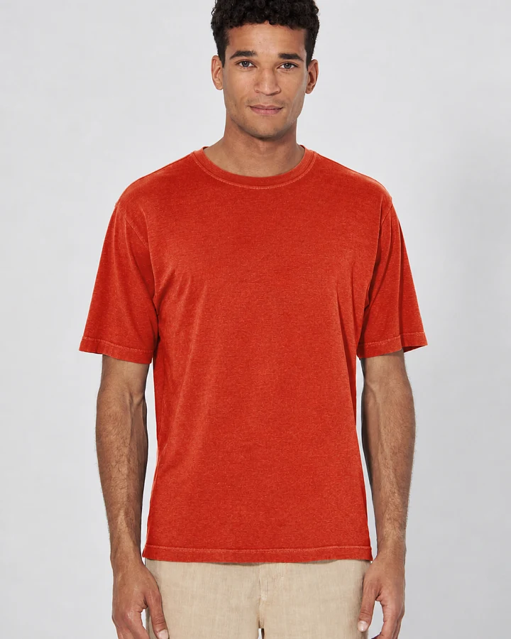Hempage Herren vegan T-Shirt Basic Rostorange