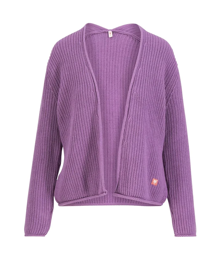 Cardigan Aran and Eve