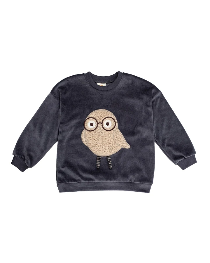 Wooly Organic - Samt-Pullover "Eule" periscope