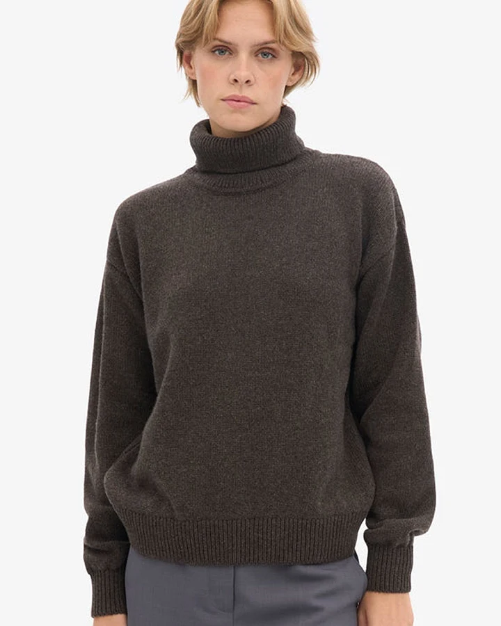 Wollpullover Merino Turtleneck