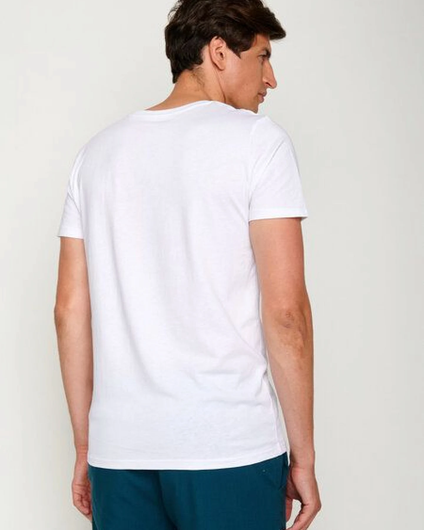 GREENBOMB Into Unknown Guide - Sportliches T-Shirt aus Bio-Baumwolle / hochwertiger Print / GOTS / Fair & Vegan – Ansicht 4