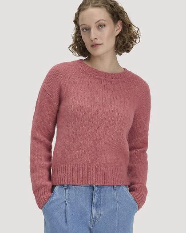 Himbeersorbet