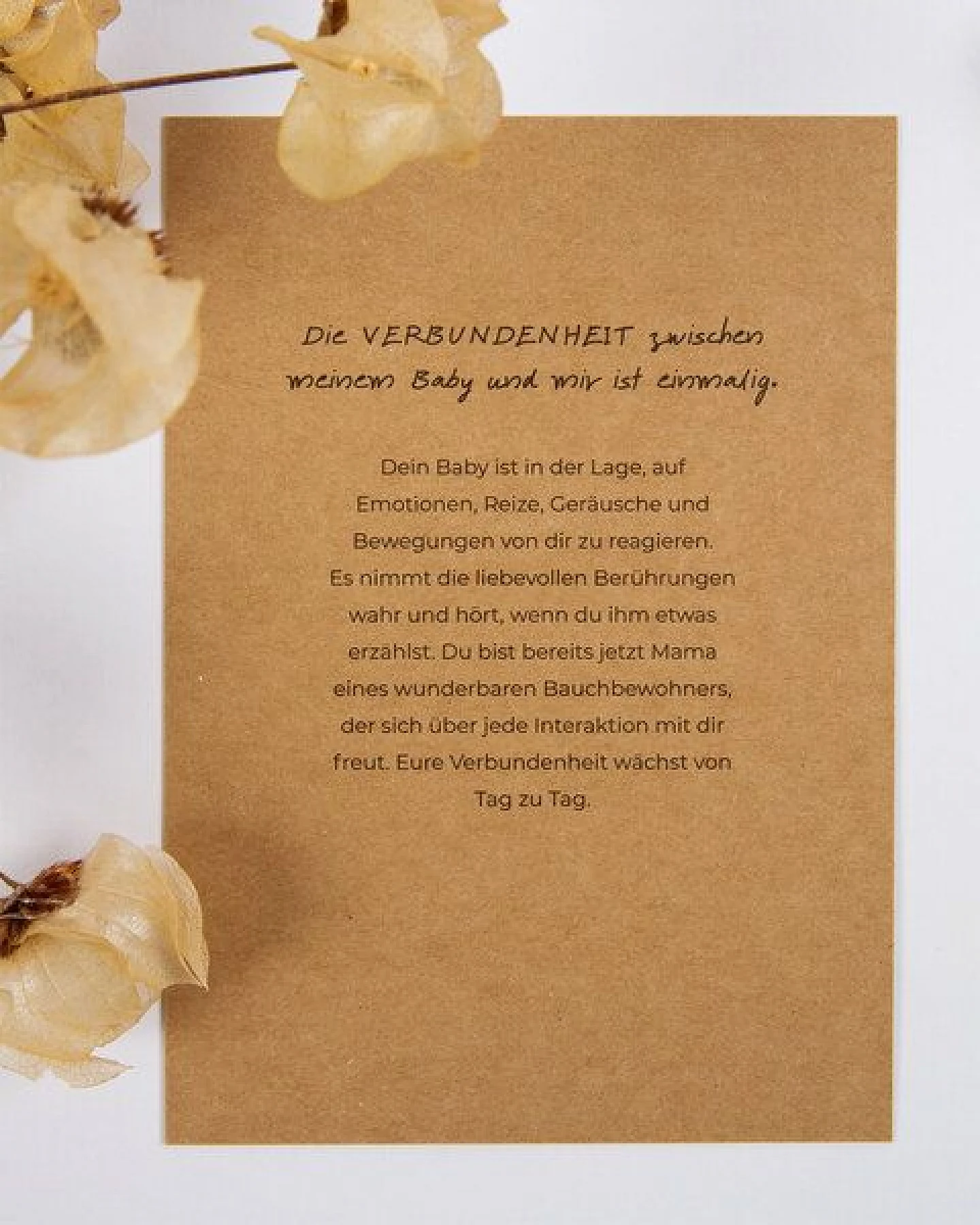 Oh Shanti Sol & Pepper Schwangerschaft Affirmationskarten – Ansicht 3