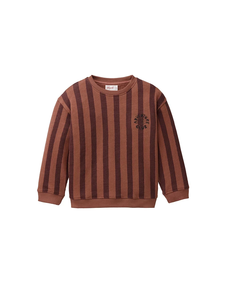 Produktseite: People Wear Organic Sweat-Pullover Bio-Baumwolle (kbA) Blockstreifen mahagoni 98/104