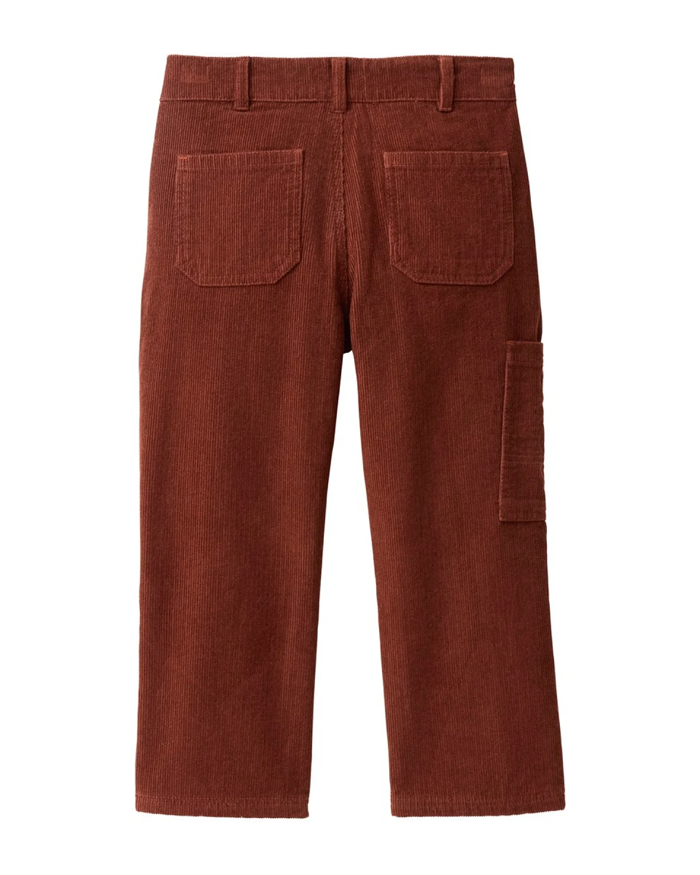 People Wear Organic Kord-Hose Bio-Baumwolle (kbA) mahagoni 122 – Ansicht 2