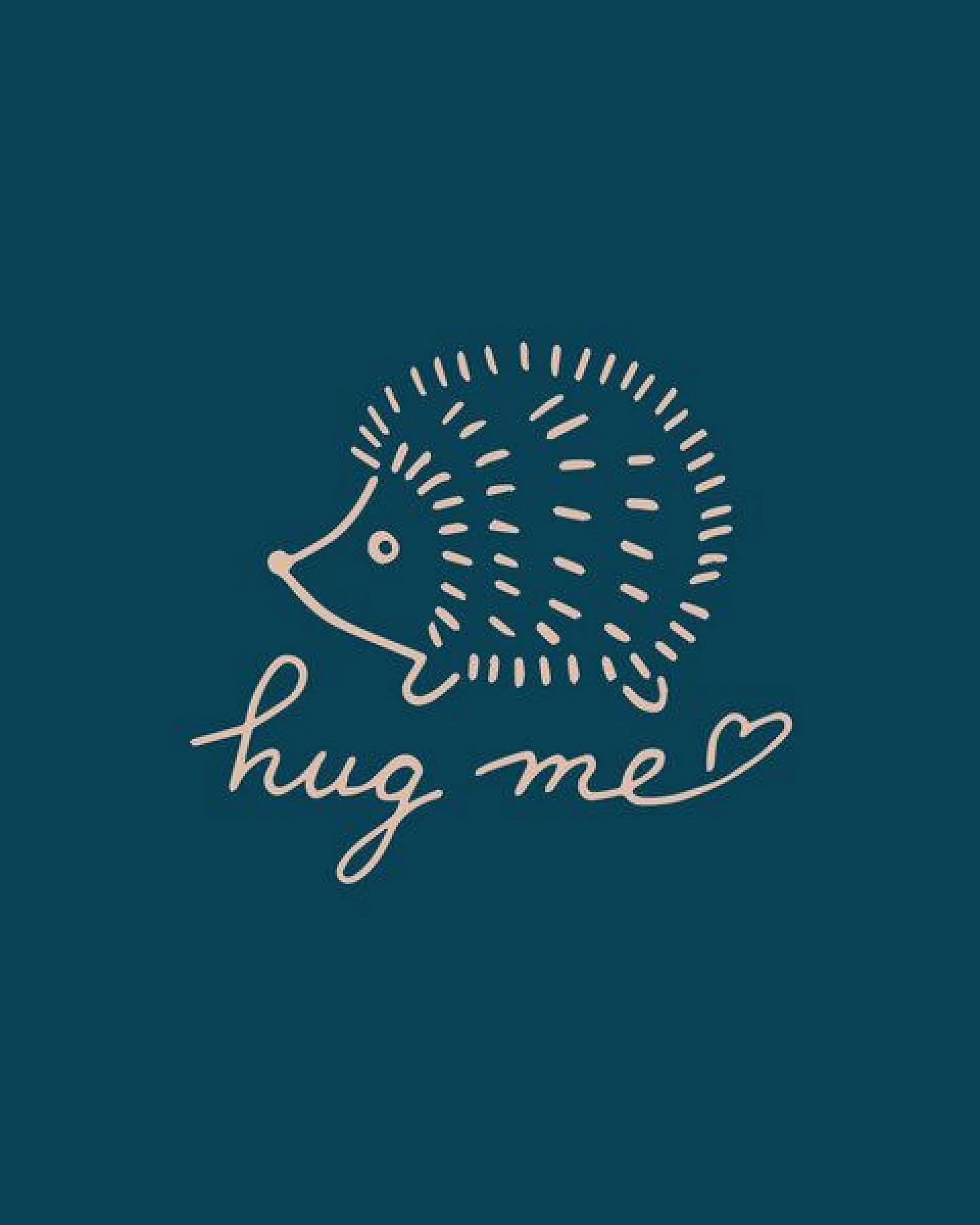 GARY MASH Shirt Taylor Kleiner Igel "Hug me" aus Biobaumwolle – Ansicht 3