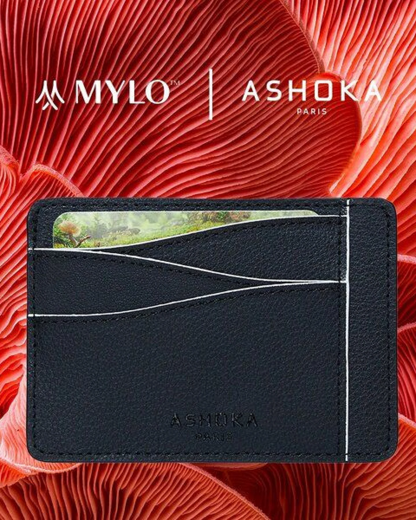 Ashoka Paris Großes Kartenetui aus Mylo Pilzmaterial Weiß – Ansicht 2