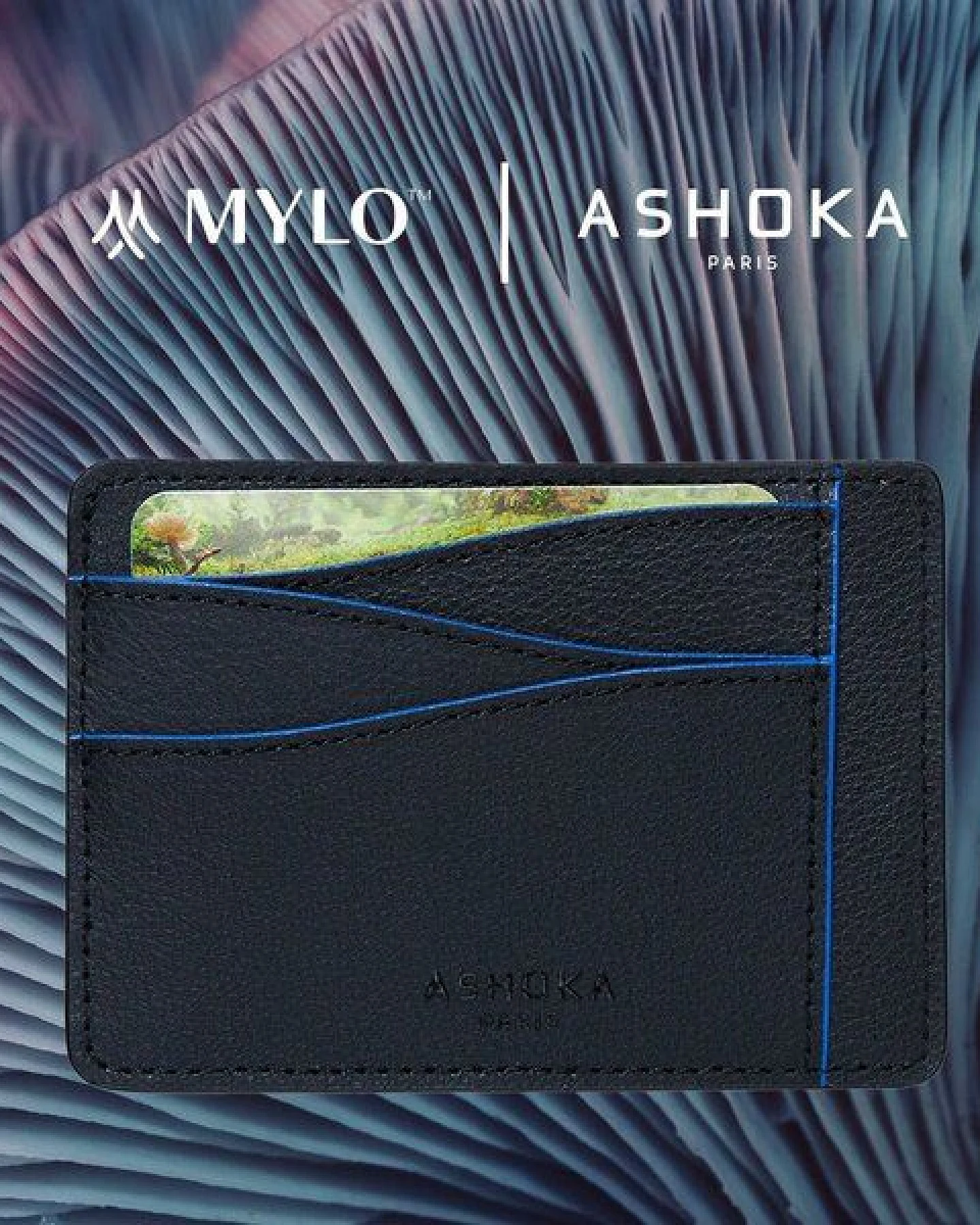 Ashoka Paris Großes Kartenetui aus Mylo Pilzmaterial Blau – Ansicht 2