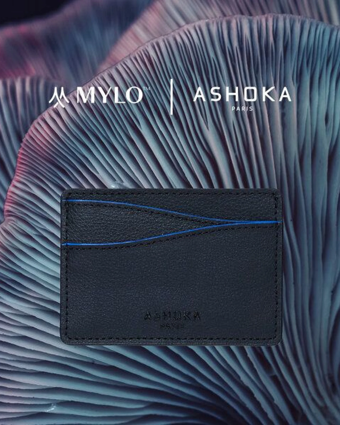 Ashoka Paris Kartenetui aus Mylo Pilzmaterial Blau – Ansicht 2